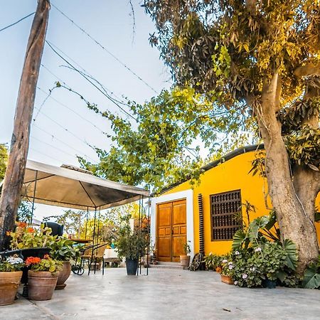 Luchy'S Country House Hostel อิกา ภายนอก รูปภาพ