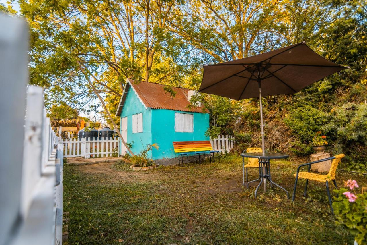 Luchy'S Country House Hostel อิกา ภายนอก รูปภาพ