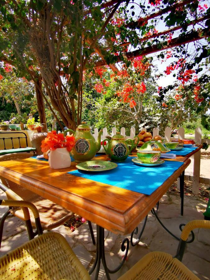 Luchy'S Country House Hostel อิกา ภายนอก รูปภาพ