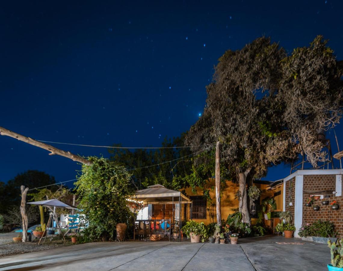 Luchy'S Country House Hostel อิกา ภายนอก รูปภาพ