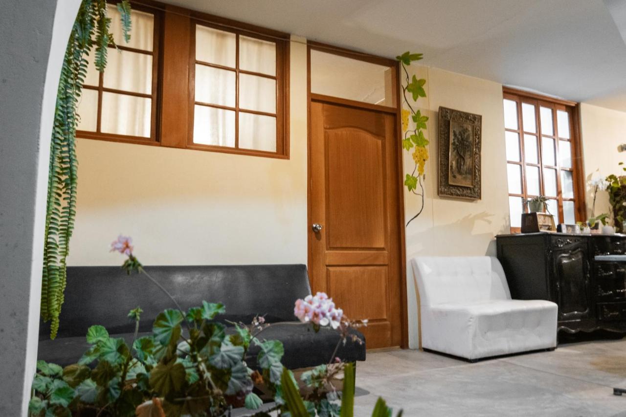 Luchy'S Country House Hostel อิกา ภายนอก รูปภาพ