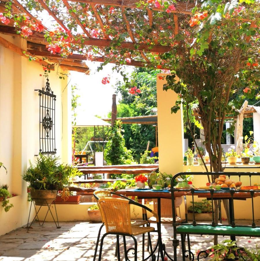 Luchy'S Country House Hostel อิกา ภายนอก รูปภาพ