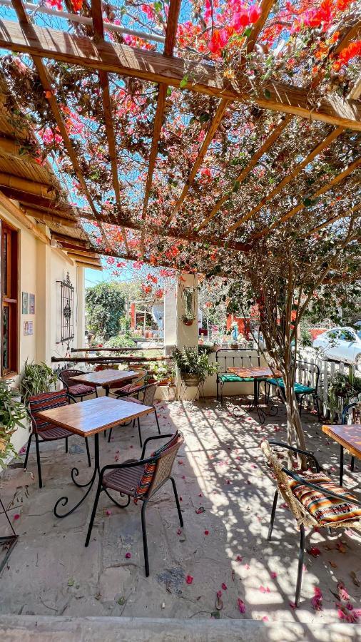 Luchy'S Country House Hostel อิกา ภายนอก รูปภาพ