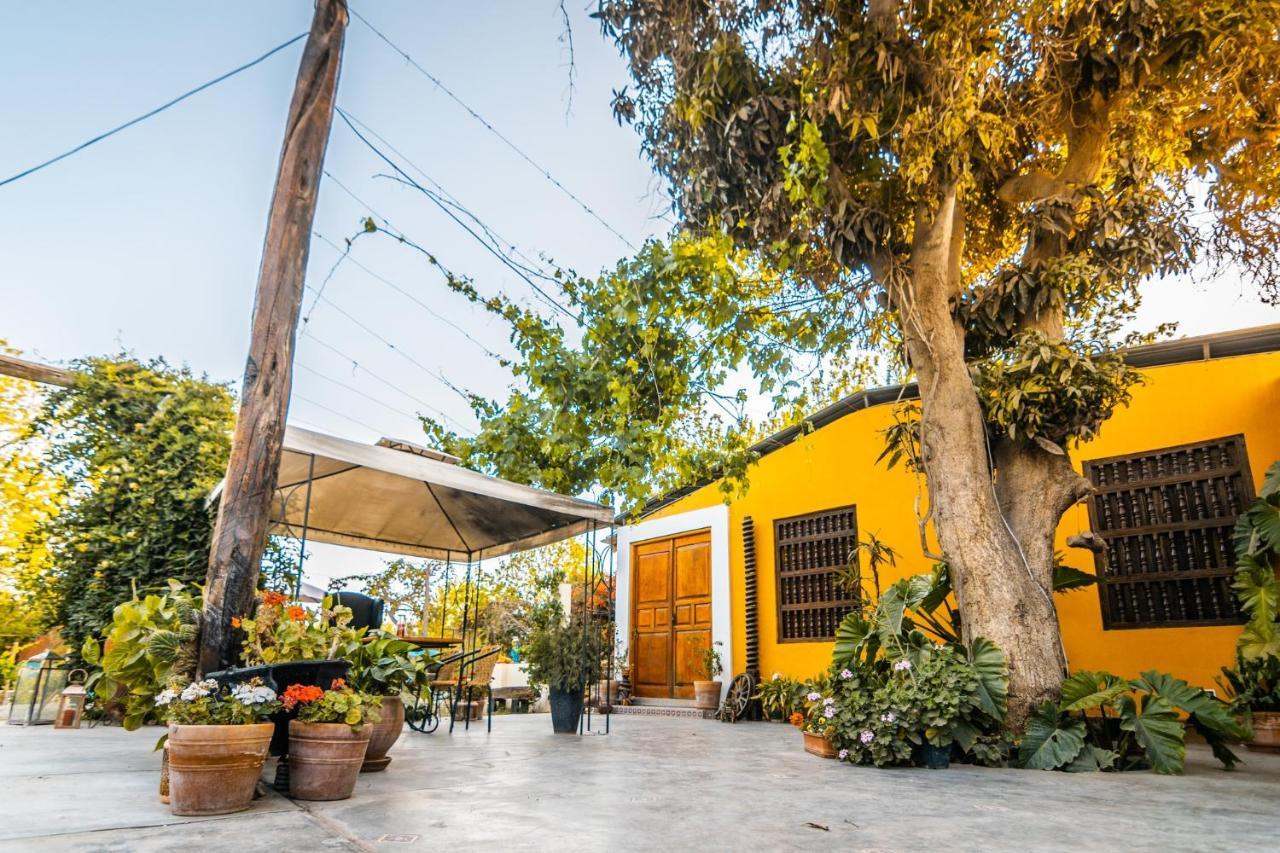 Luchy'S Country House Hostel อิกา ภายนอก รูปภาพ